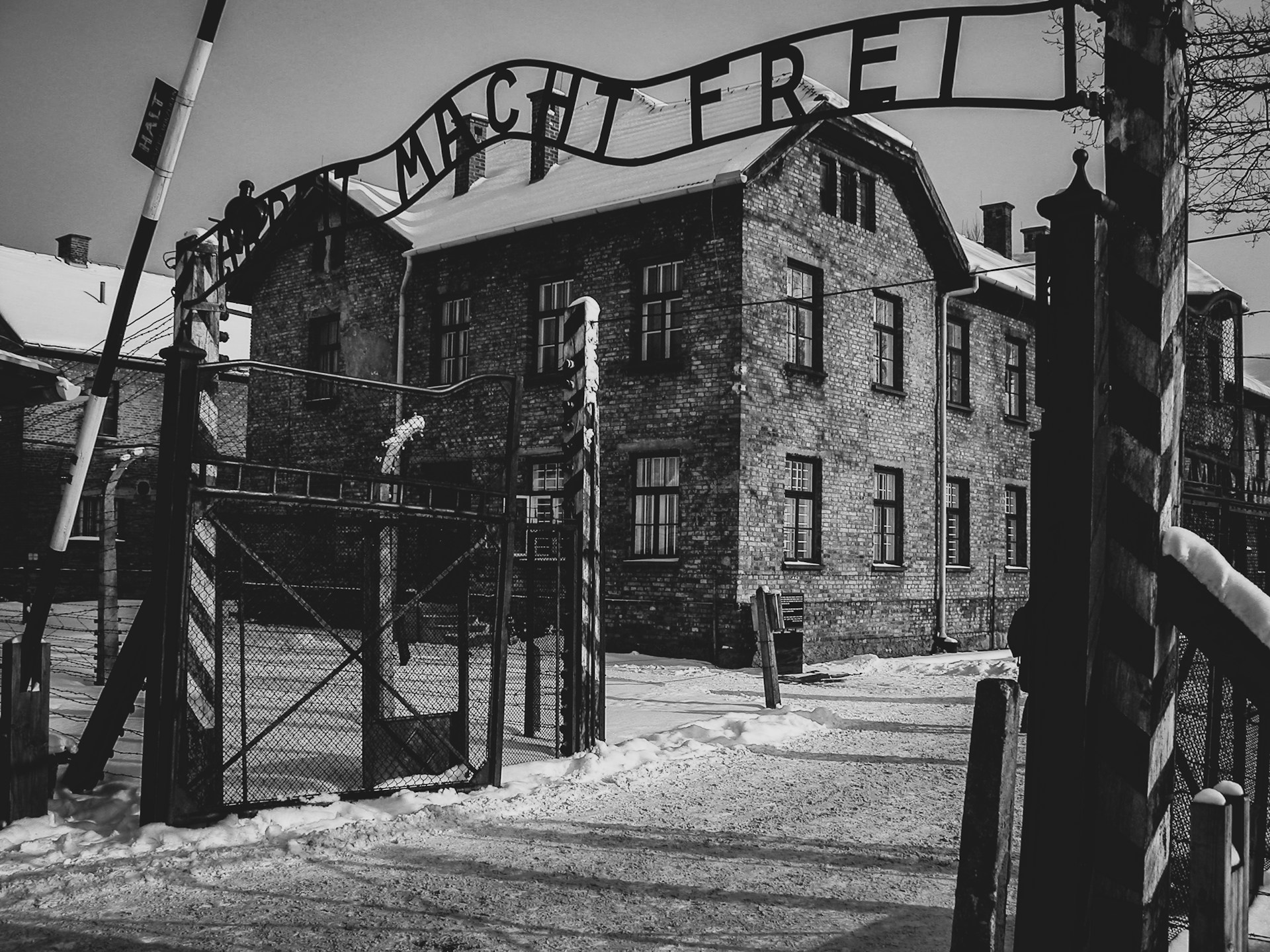 Eisenbahnschienen, die in den Nebel führen, als Symbol für die Geschichte von Auschwitz