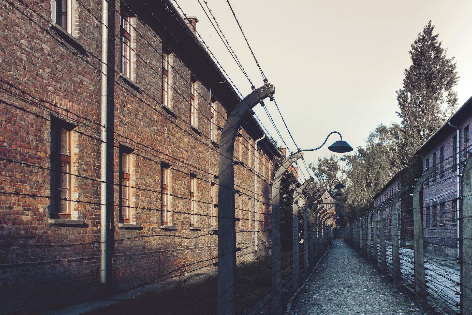 Bâtiments en briques du camp de concentration d'Auschwitz et clôture en fil de fer barbelé.