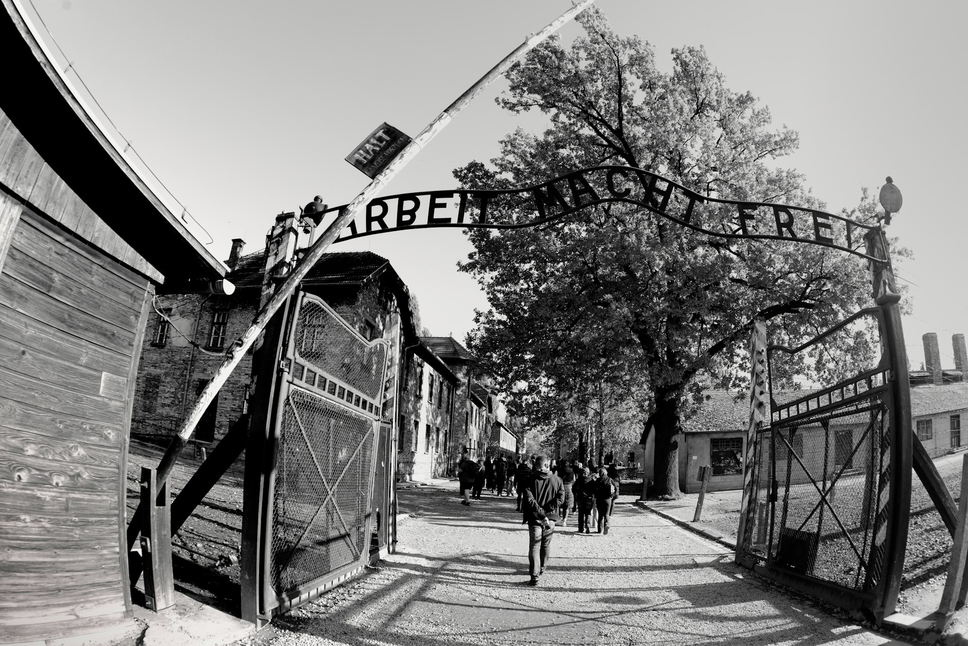 Voies ferrées brumeuses menant au portail de Birkenau